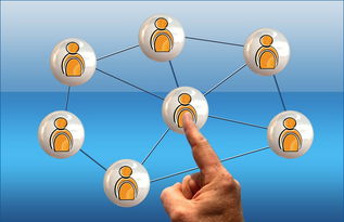 網(wǎng)絡(luò)營銷產(chǎn)品與軟件銷售全攻略 策略、工具與實戰(zhàn)技巧